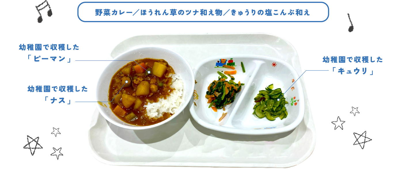 野菜カレー／ほうれん草のツナ和え物／きゅうりの塩こんぶ和え