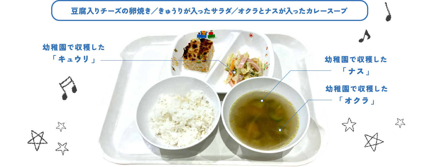 豆腐入りチーズの卵焼き／きゅうりが入ったサラダ／オクラとナスが入ったカレースープ