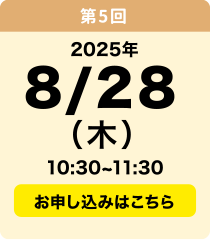 8／28